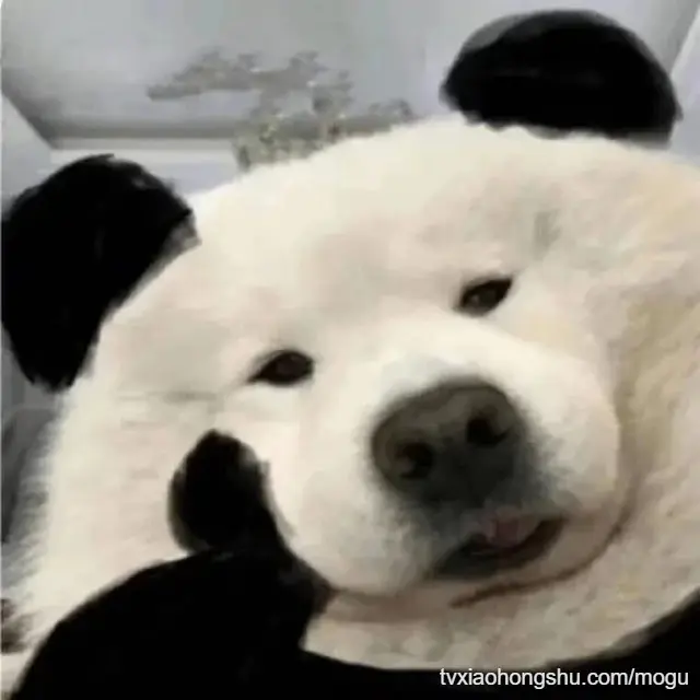 有点愁啊兄弟们