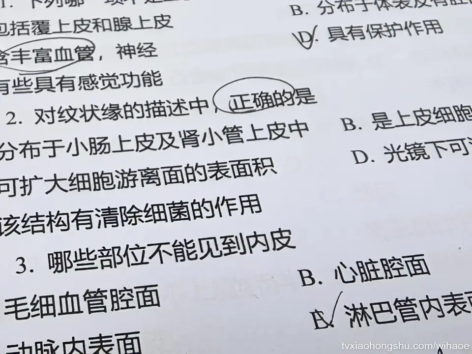 懵了哥哥们