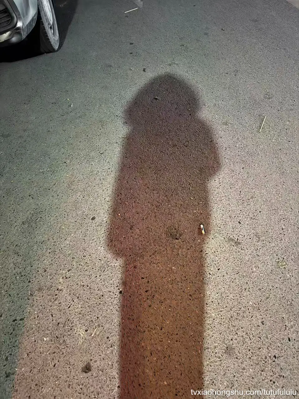 不得劲 兔闪闪和坏小孩怎么这么可爱  全部都想要 全部☹️☹️☹️