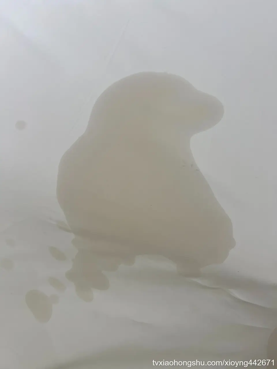高潮喷出了一只鸟