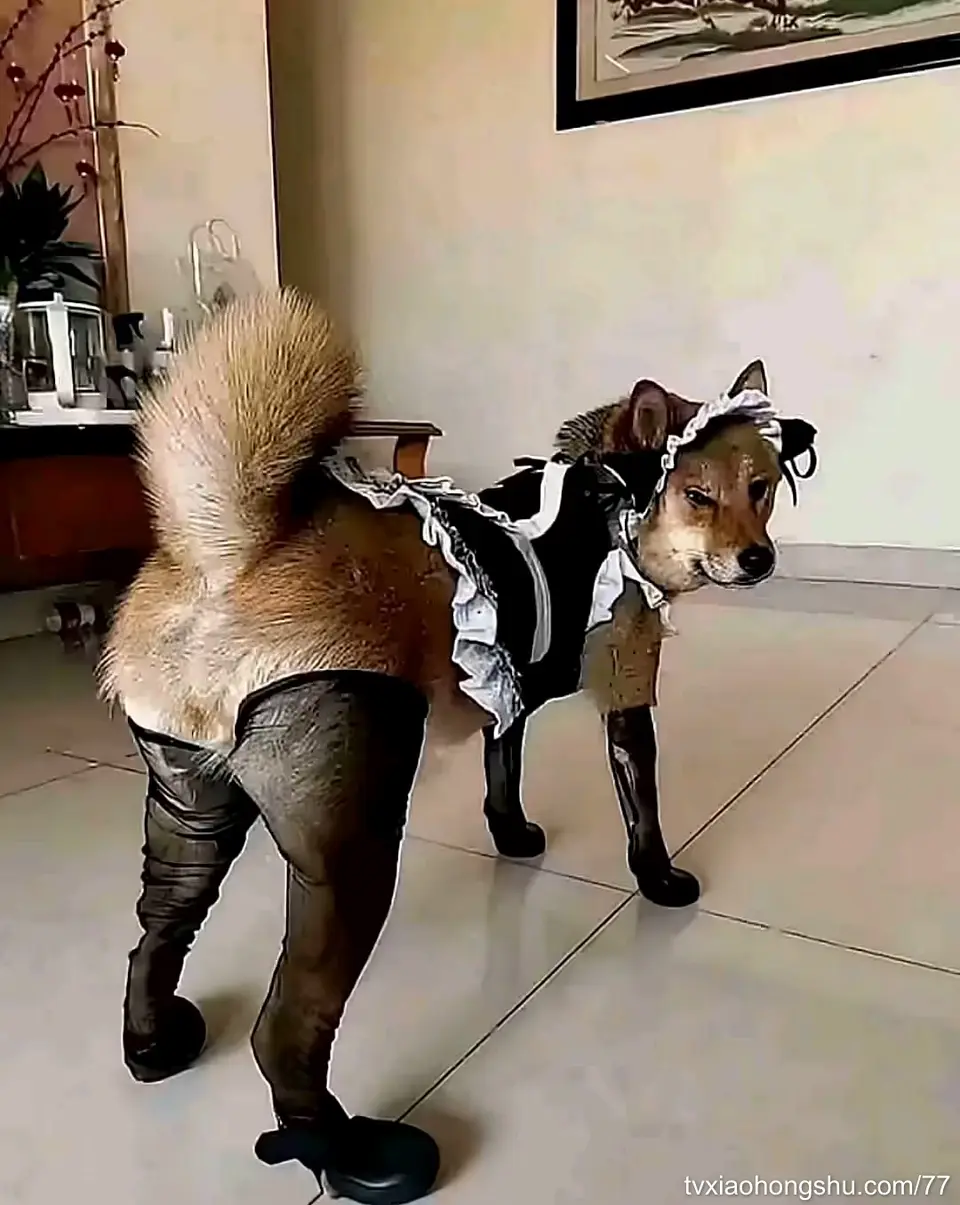 猎奇，重口，反差，白虎