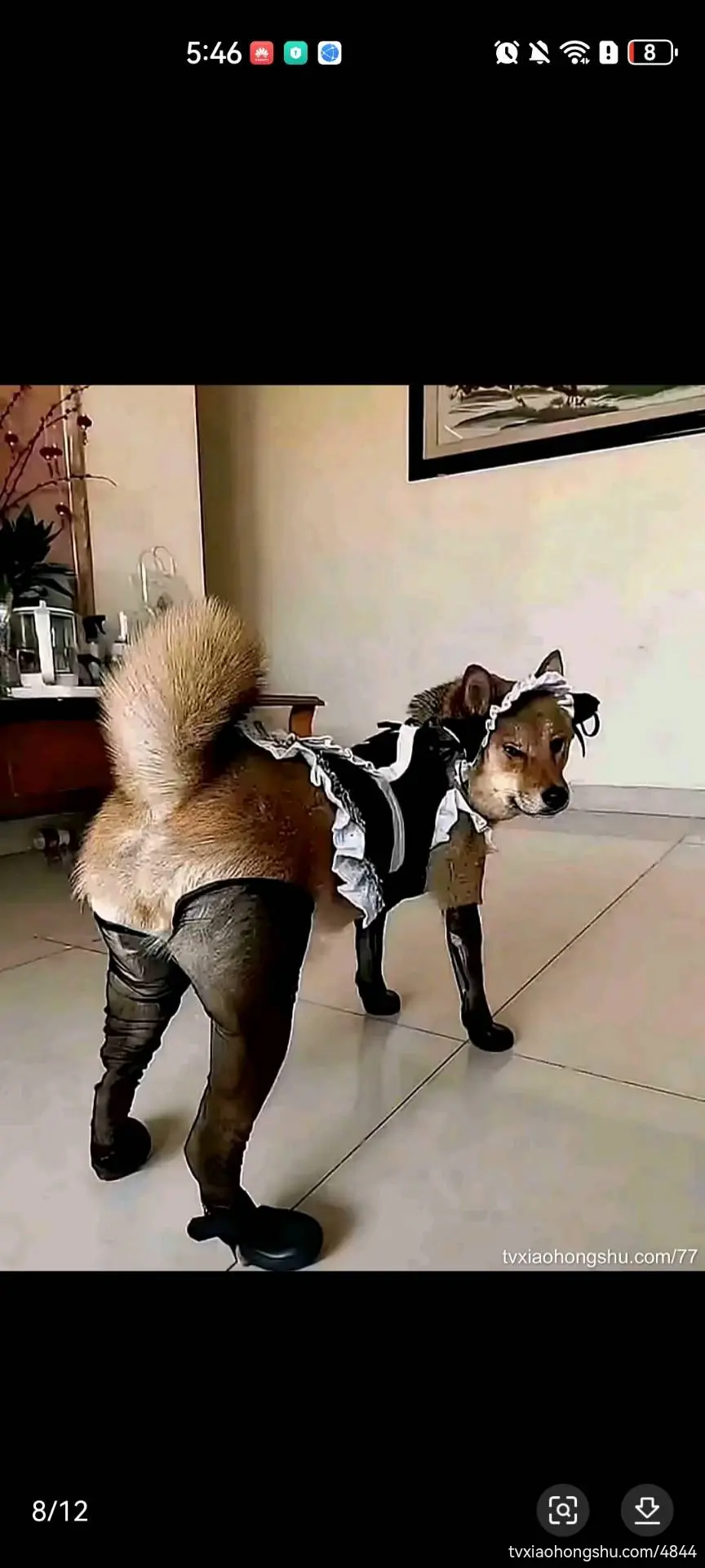 原神牛逼