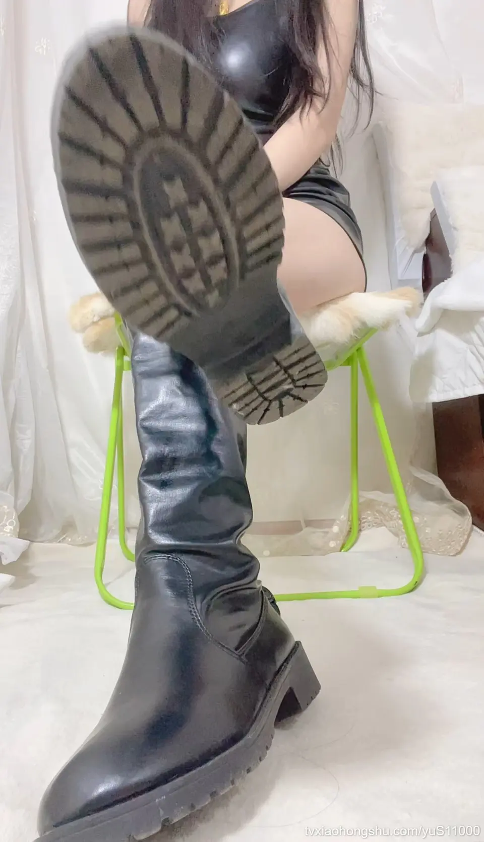 小狗进来