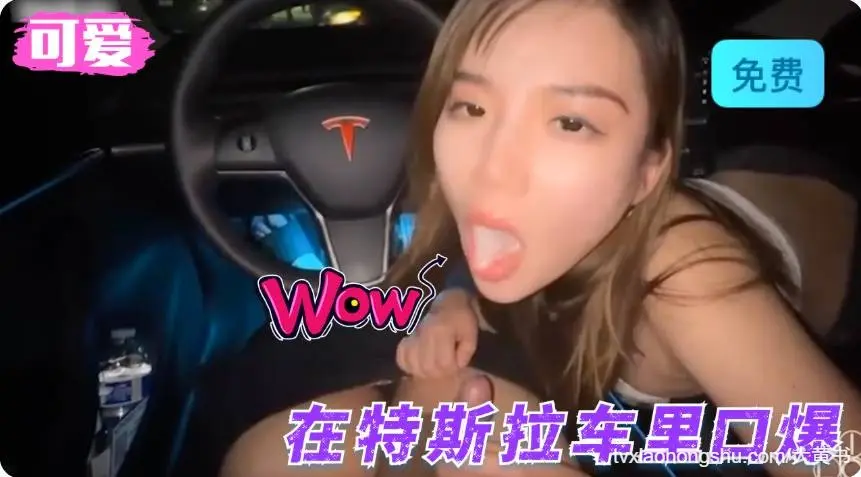 在特斯拉车里口爆