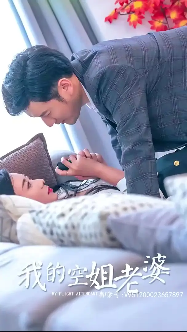 我的空姐老婆