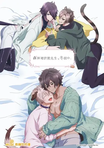 森林裡的熊先生，冬眠中。