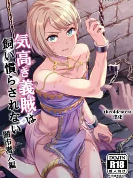 [theoldestcat汉化][うさみみしんどろーむ (えるたすく)] 気高き義賊は飼い慣らされない 闇市潜入編 [中国翻訳] [DL版]