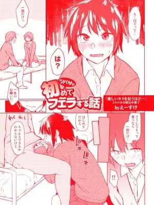 愛しいキミを狂うほど... とらのあな限定小冊子 ツバサが始めてフェラする話