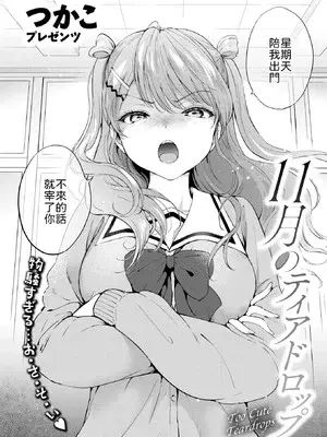 [つかこ] 11月のティアドロップ [中譯]
