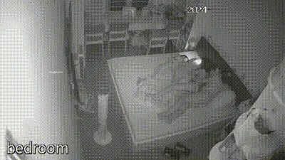 【偷情实录】奸夫是个女的？女同到年纪找个男人结婚生子？背地里还是同性恋？孩子在旁边睡觉就按耐不住了骚动的心了！ 动图预览