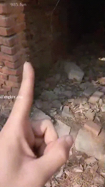 天天在一起生活解锁各种场所做爱剧情 动图预览