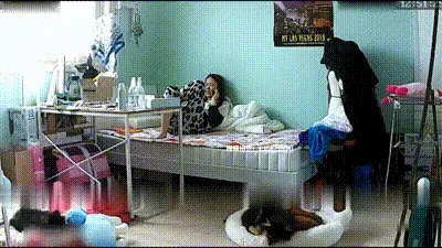 一边玩手机一边自慰接个电话换衣服出去仔细看原来来大姨妈了 动图预览