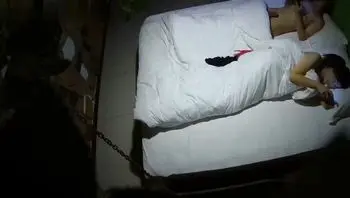 年轻小哥草性感情趣网衣女友内射逼里