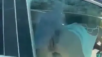 封闭空间里的窒息式激情