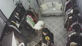 高档服装店更衣间摄像头监控偷拍 颜值富姐真空试穿衣服 奶子真大！
