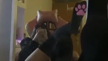 骚骚的