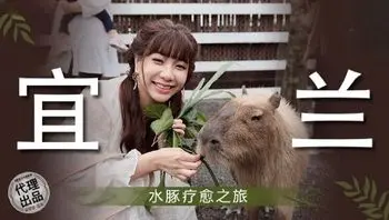 MM078 宜蘭 水豚療愈之旅