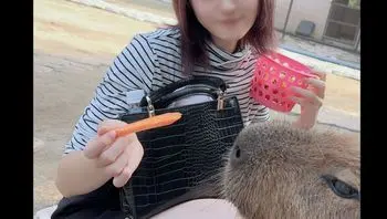 FC2PPV4265371 可愛超萌女大生被帶到森林裡野外露出 大量中出未熟胴體不停抖震
