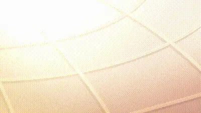 異種族風俗娘評鑑指南 SP 动图预览