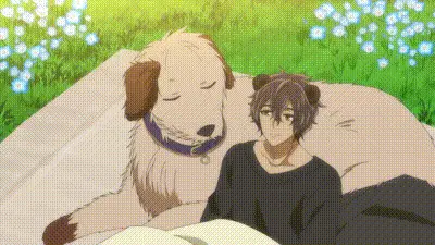 森林裡的熊先生，冬眠中。 7 动图预览