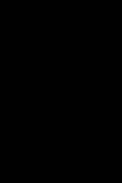 [とさか養鶏場] チンチン列車(R-18動画) 动图预览