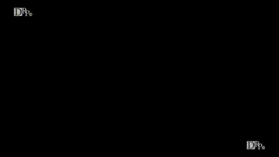 痴漢許可證 1 动图预览