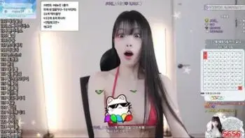 2025-12-24_05-03-19 - yin2618