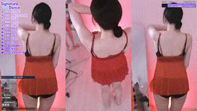 2025-05-23_05-38-31 - wjl9908 动图预览