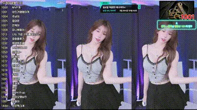2025-05-23_06-38-09 - duswn8243 动图预览