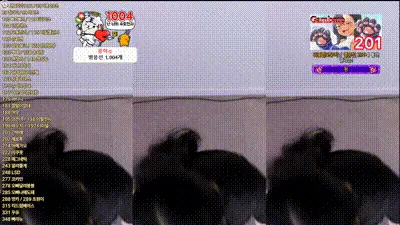 2025-04-26_23-06-33 - life2456 动图预览