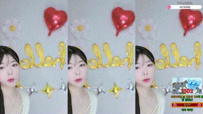 2025-03-29_00-46-45 - lin409409 动图预览
