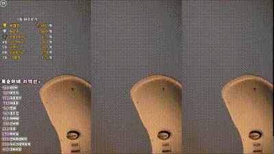2025-03-24_23-04-40 - zkzk9885 动图预览