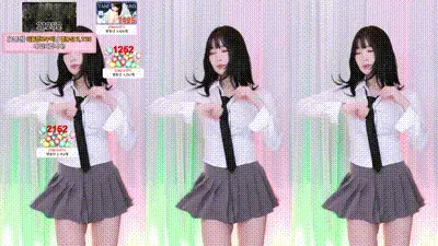 2025-03-19_04-27-22 - dleh0824 动图预览