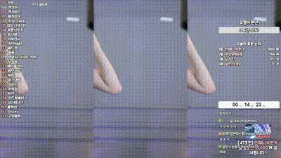 2025-02-20_12-46-47 - whdbwjd1010 动图预览