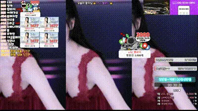 2025-02-06_19-19-44 - kmj87990 动图预览