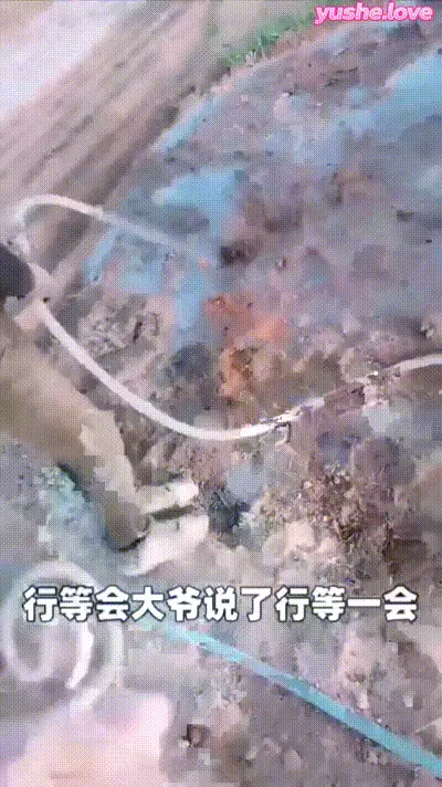 找地理干活大叔玩游戏，一步一步脱衣无套插入 动图预览