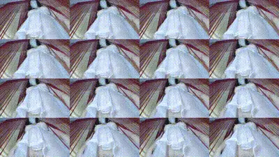 饥渴少妇疯狂自慰(Eunbivlog(은비)) 动图预览