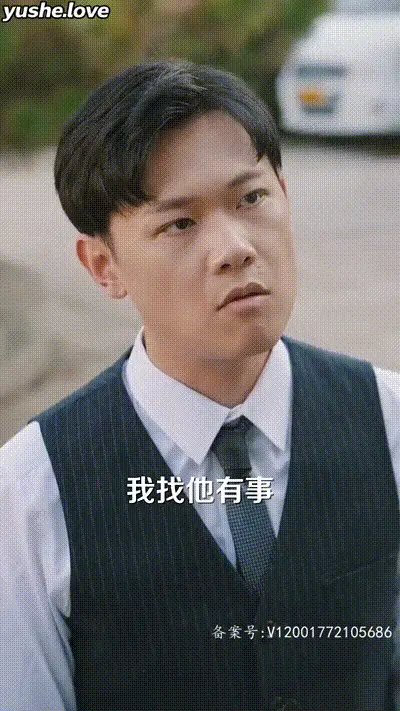 阅尽世间繁华Part026 动图预览