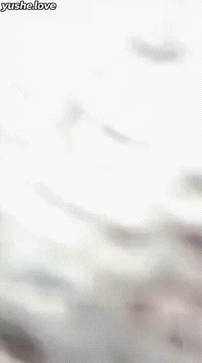 真实姐弟乱伦车震 骚货姐姐车上勾引亲弟弟 粗壮大鸡巴插入姐姐骚逼激烈撞击抽插配合姐姐娇喘让人欲罢不能 动图预览