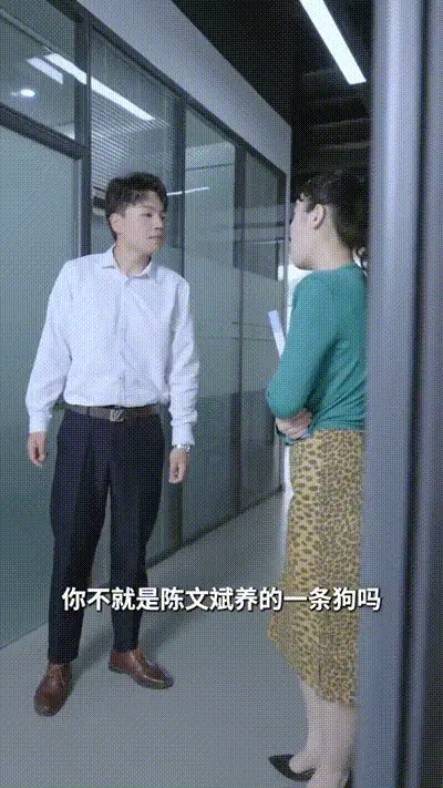 我的绝美老板娘Part005 动图预览