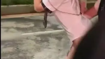 调教母狗大街上溜哒 后入直挺粗暴