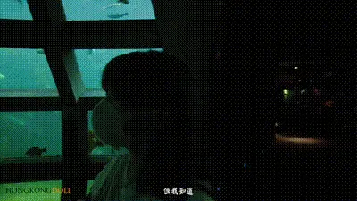 一日完美女友-2-这个女孩是谁？我刚才肏了她的集美吗？-hongkongdoll 动图预览