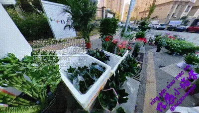 路边摊购物，裙底真空+情趣内衣合集-xgxmm95 动图预览