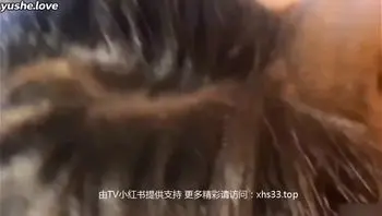 娇艳美少妇熟女和情夫幽会偷情兔女郎装扮激情口交做爱_HD 娇艳美少妇熟女和情夫幽会偷情兔女郎装
