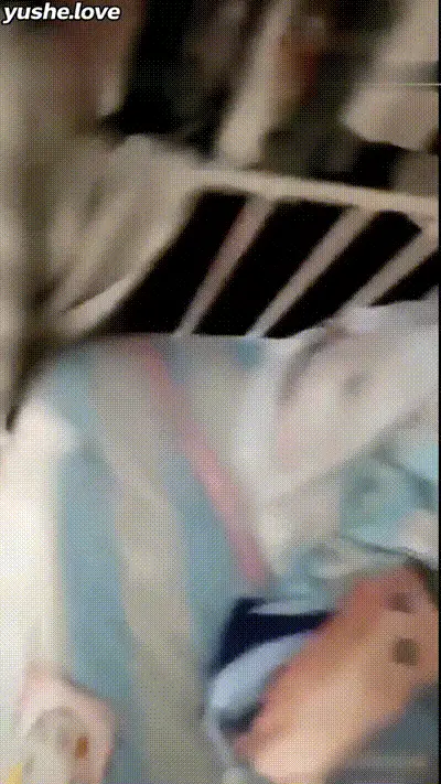 极品高中老师约操学生_ 极品高中老师约操学生 动图预览